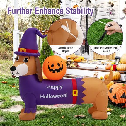 Long Halloween Inflatable Dachshund Dog with Pumpkin
