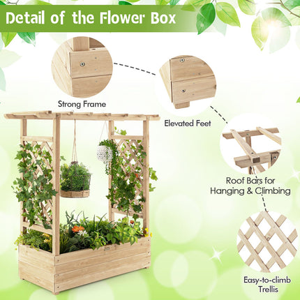 Raised Garden Bed with Arch Trellis