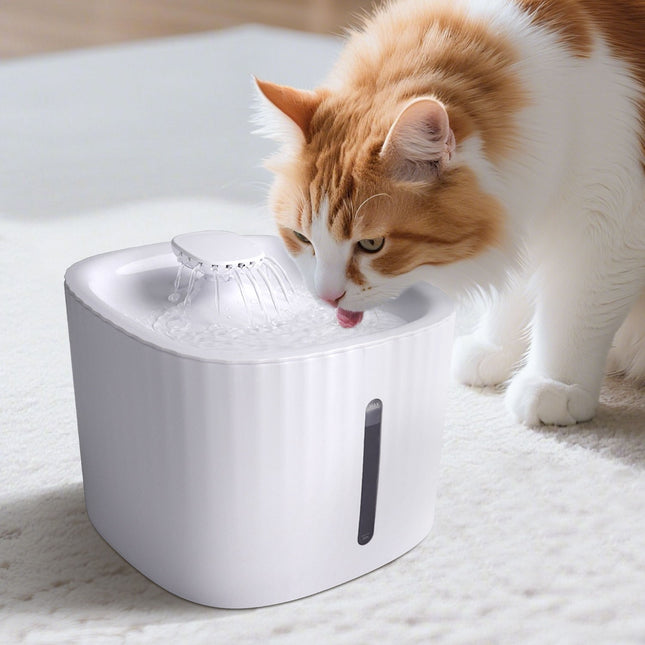 3L Cat Water Fountain Electric Pet Dog Drinking Bowl USB Automatic Dispenser