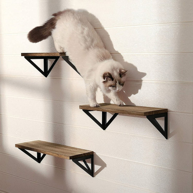 3X Corner Wall Shelves Industrial Wood Floating Shelf for Souvenirs Ornaments De