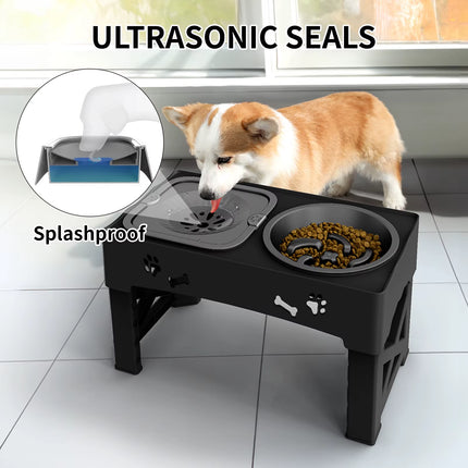Raised Dog Bowl Stand for Cats and Dogs Pet Feeder Bowls Double Feeder High Stand for Small Medium and Large Dogs Cats