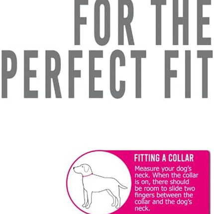 Ancol Fashion Dog Collar - Blue Reflective Bones Adjustable Collar for Dogs And