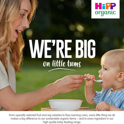 Hipp Organic Tasty Vegetable Risotto Baby Food Jar 6+ Months (6 X 125G)