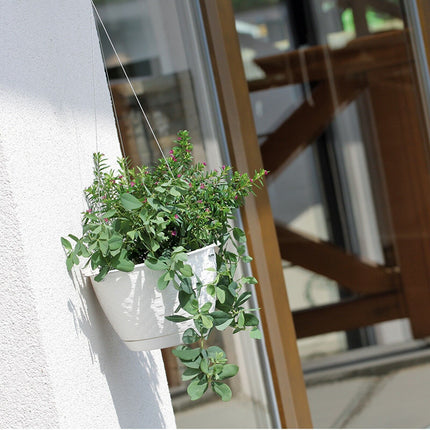 Easy Fill round Plastic Garden Wall Hanging Basket Flower Plant Pots Planter Set