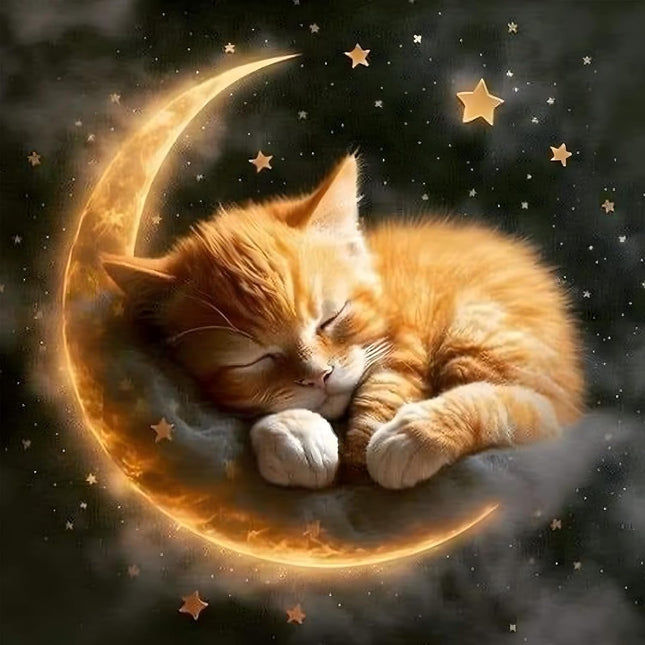 DOMROM Diamond Art Painting Kits for Adults, Cat Diamond Painting Kits Full DIY