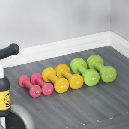 6Kg Dumbbell Set with Suitcase, Fitness Weights Dumbbells Set for Men and Women Home Gym, Workout