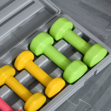 6Kg Dumbbell Set with Suitcase, Fitness Weights Dumbbells Set for Men and Women Home Gym, Workout
