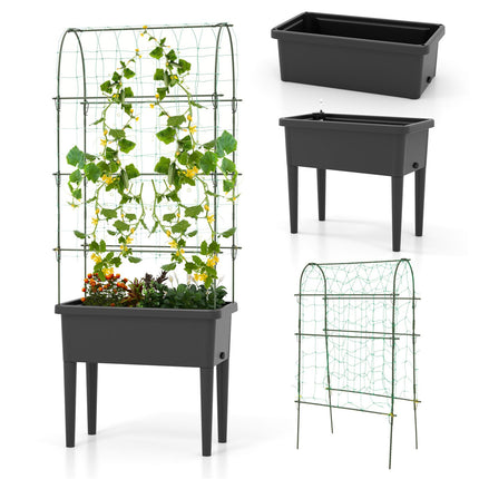 Self-Watering Raised Garden Bed with Climbing Trellis
