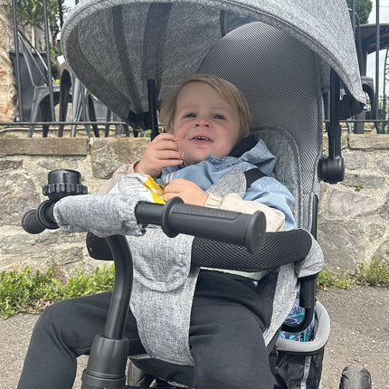 HOMCOM 6 in 1 Kids Trike, Stroller with Parent Handle, Grey