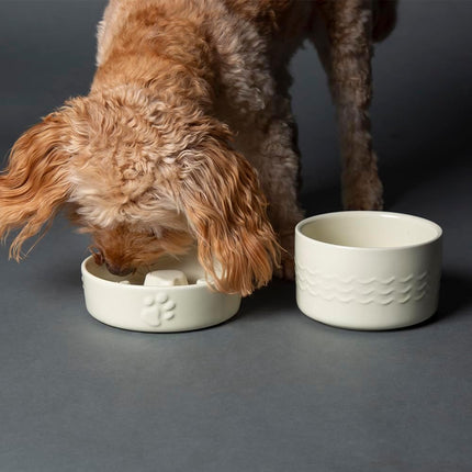 Scruffs Icon Dog/Pet Slow Feeding Bowl Set - 16Cm Slow Feeder & 15Cm Water Bowl