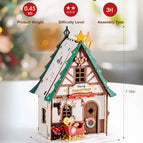 Christmas House (29)