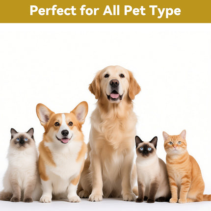 2800W Dog Hair Dryer Pet Grooming Blaster Blower Dryer 5 Nozzles Blaster Xhksece