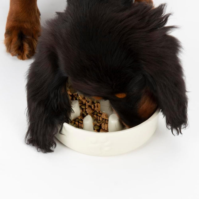 Scruffs Icon Dog/Pet Slow Feeding Bowl Set - 16Cm Slow Feeder & 15Cm Water Bowl