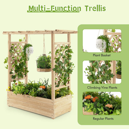 Raised Garden Bed with Arch Trellis