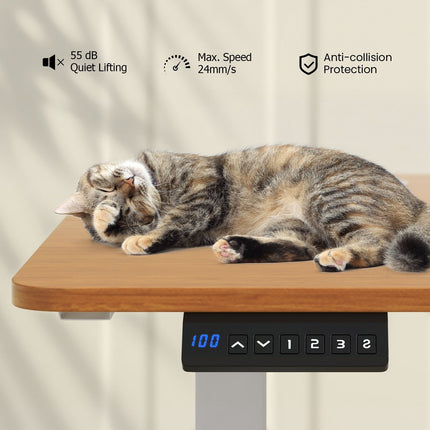 140 X 60 CM Height Adjustable Standing Desk with 3 Memory Heights